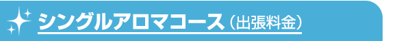 シングルアロマコース(出張料金)