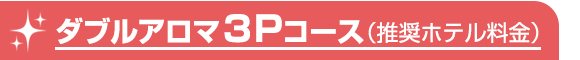 3Pコース(推奨ホテル料金)