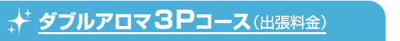 3Pコース(出張料金)